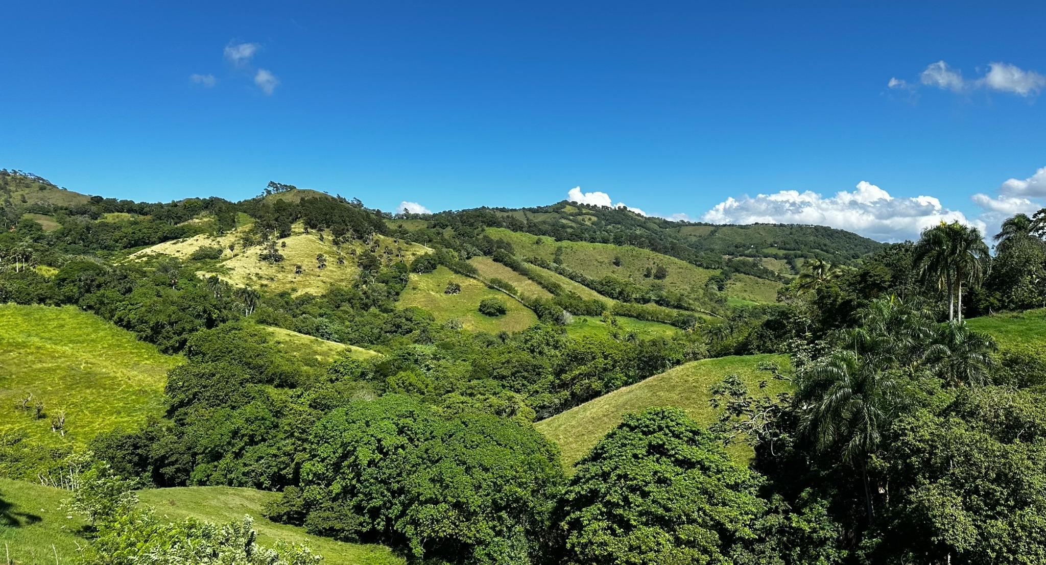 Vista de las montañas desde The Magnolia Ranch